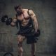 how to gain muscle mass bodybuilding